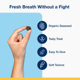 ProDen PlaqueOff Soft Chews for Small Dogs Removes Plaque Tartar & Bad Breath